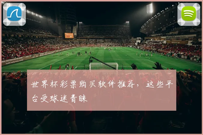 世界杯彩票购买软件推荐,这些平台受球迷青睐