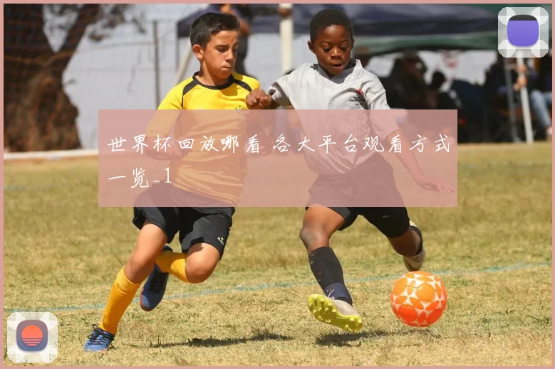 世界杯回放哪看 各大平台观看方式一览_1