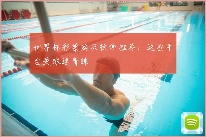 世界杯彩票购买软件推荐,这些平台受球迷青睐